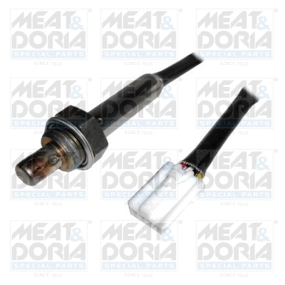 Oxygen Sensor